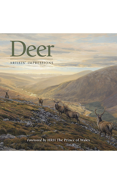 Deer: Artists Impressions