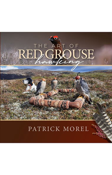 The Art of Red Grouse Hawking