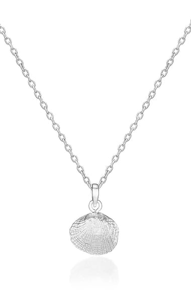 Cockle Shell Pendant