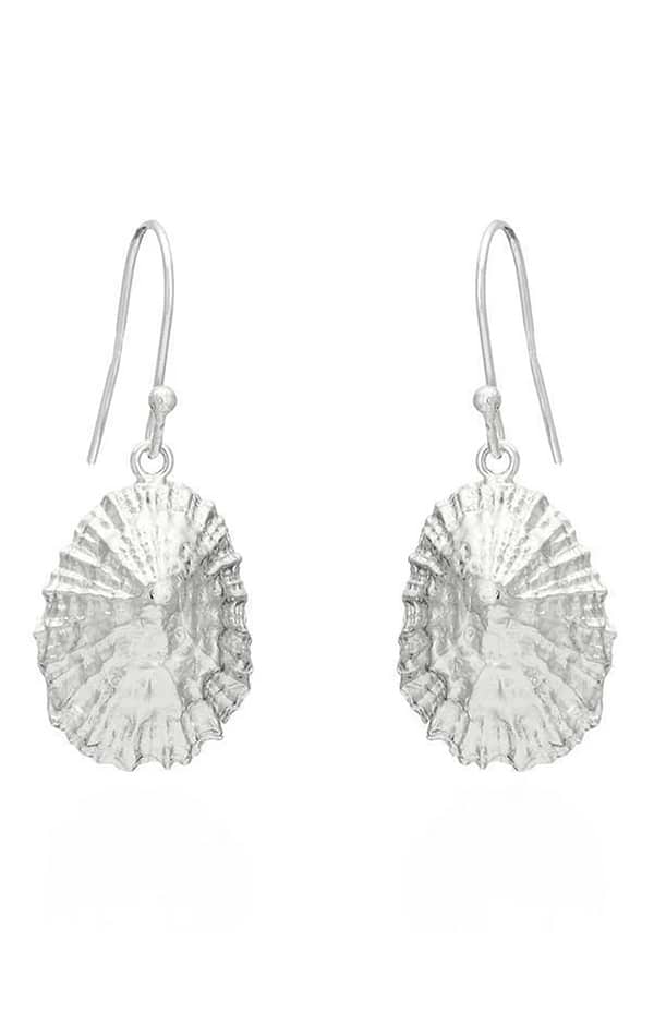 Limpet Shell Drop Earrings