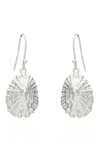 Limpet Shell Drop Earrings