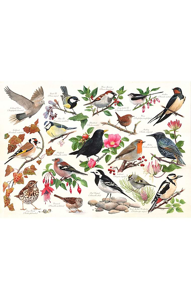 1000 Piece Jigsaw Puzzle