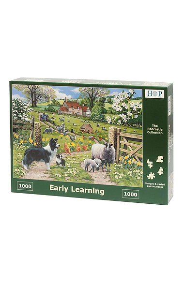 1000 Piece Jigsaw Puzzle