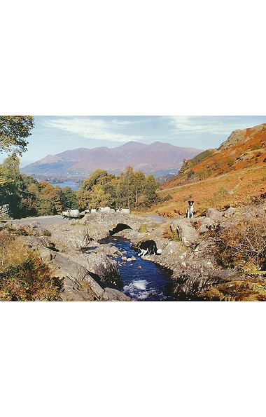 1000 Piece Jigsaw Puzzle