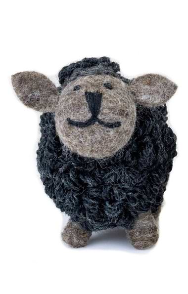 Standing Sheep