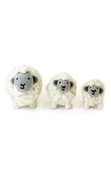 Standing Sheep