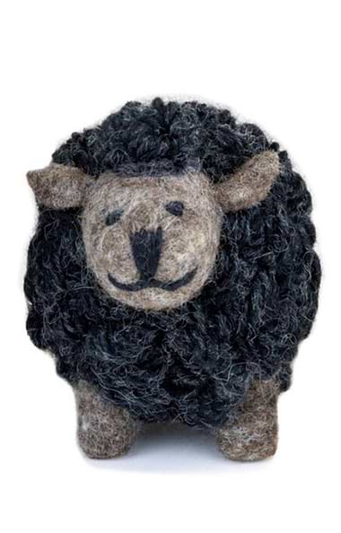 Standing Sheep