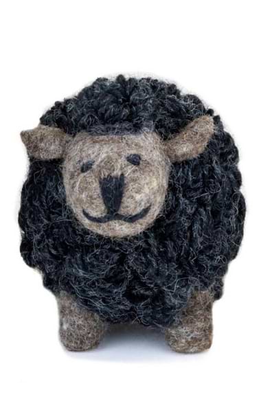 Standing Sheep