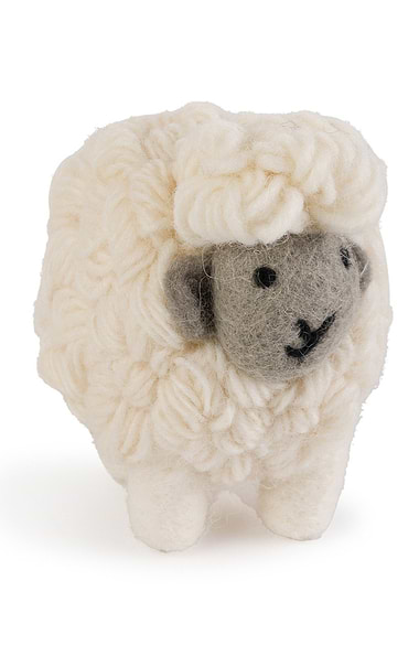 Standing Sheep
