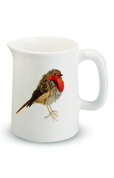 Chloe Gardner Illustrated 1/4 Pint Jug