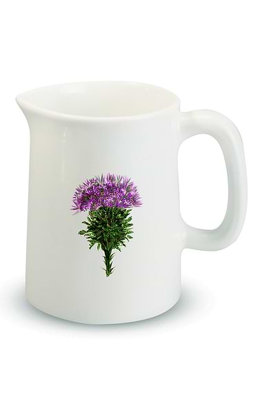 Chloe Gardner Illustrated 1/4 Pint Jug