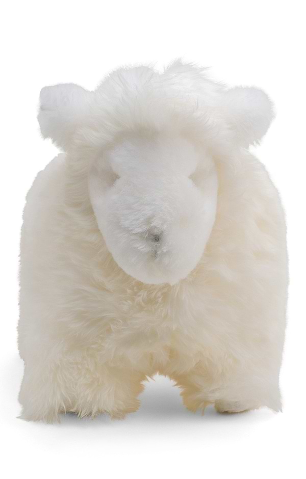 Sheepskin Sheep