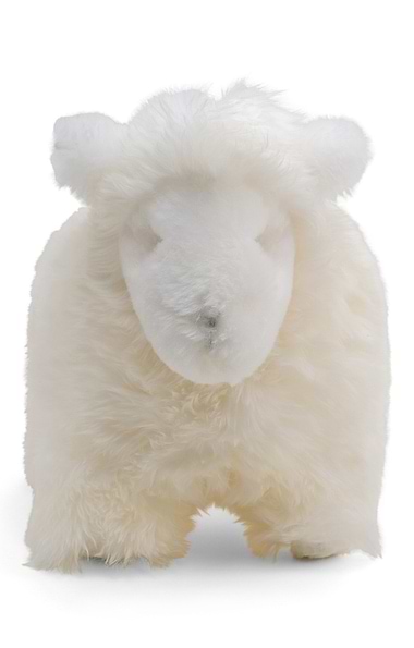 Sheepskin Sheep