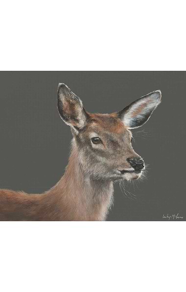 Lesley McLaren Medium Framed Print