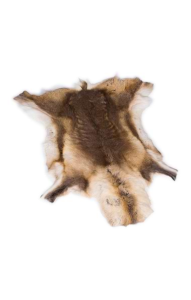 Deerskin Rug