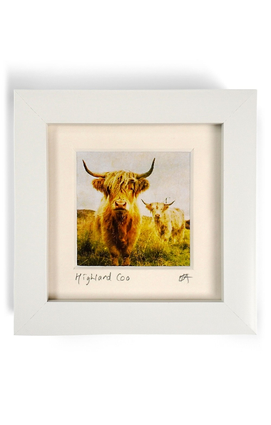 Scottish Themed 4x4 Mini Framed Print
