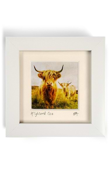 Scottish Themed 4x4 Mini Framed Print