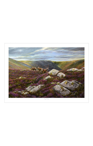 Chris Sharp Framed Print