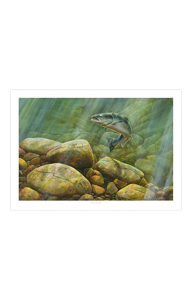 Chris Sharp Framed Print