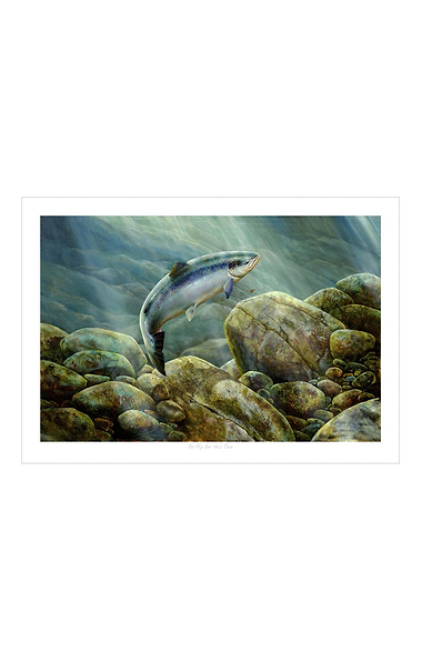 Chris Sharp Framed Print