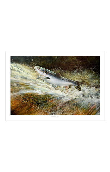 Chris Sharp Framed Print