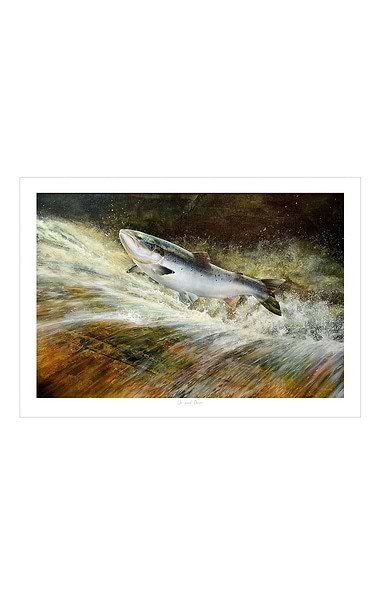 Chris Sharp Framed Print