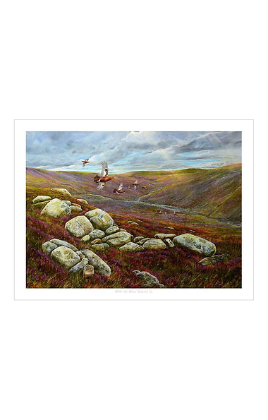 Chris Sharp Framed Print