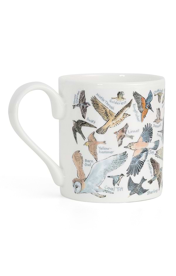 Picture Maps Mug
