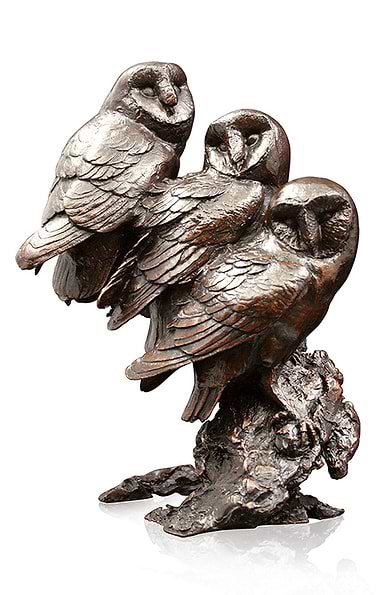 Watchful Owl by Michael Simpson