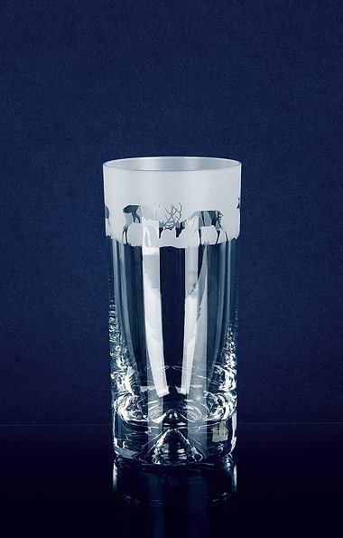 Engraved Crystal Highball Glass