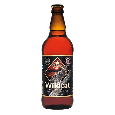 Wild Cat
