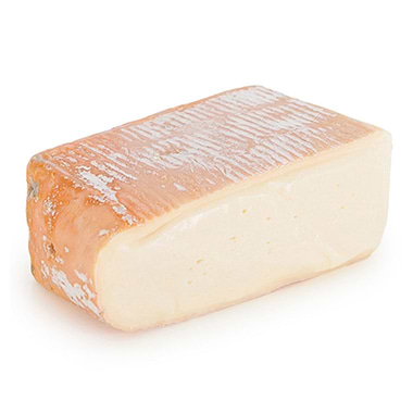 Taleggio 