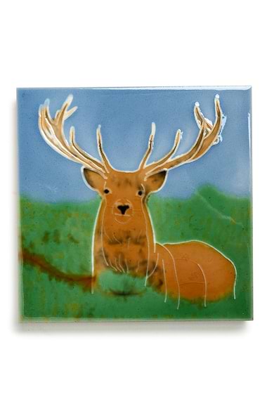 Painted Ceramic Tile