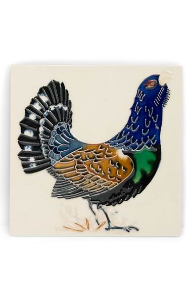 Ceramic Tile 6x6