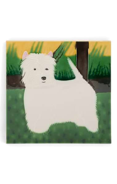 Ceramic Tile 6x6