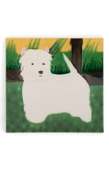 Ceramic Tile 6x6