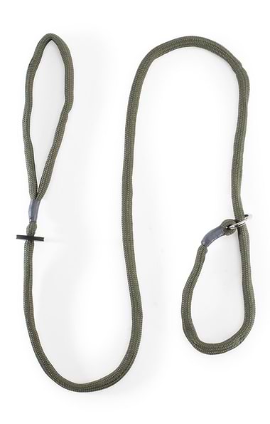 Basic Slip Dog Lead
