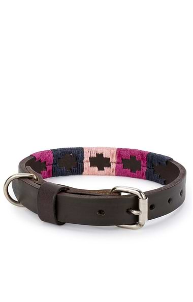 Argentinean Dog Collar