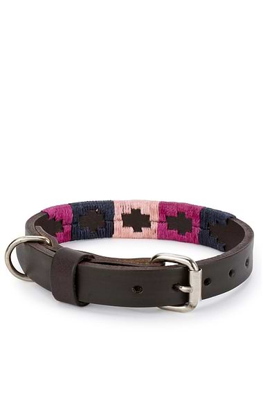 Argentinean Dog Collar
