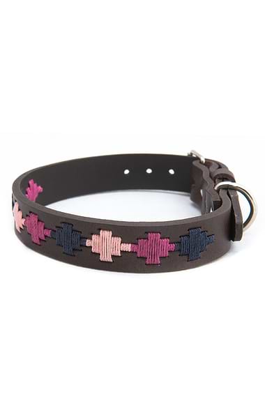 Argentinean Dog Collar