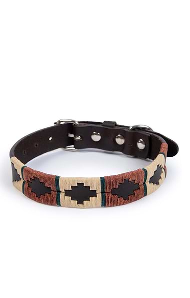 Argentinean Dog Collar