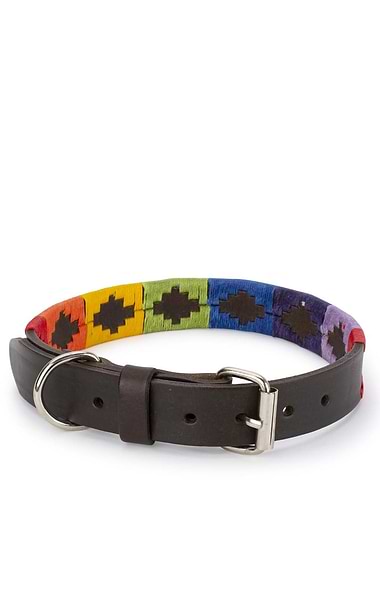 Argentinean Dog Collar