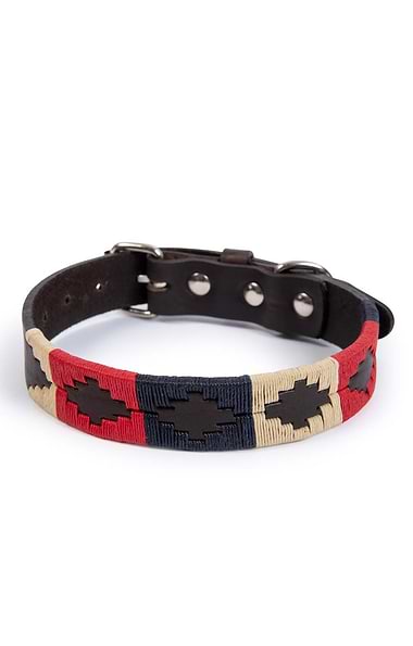 Argentinean Dog Collar