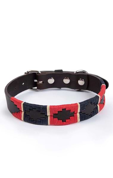 Argentinean Dog Collar