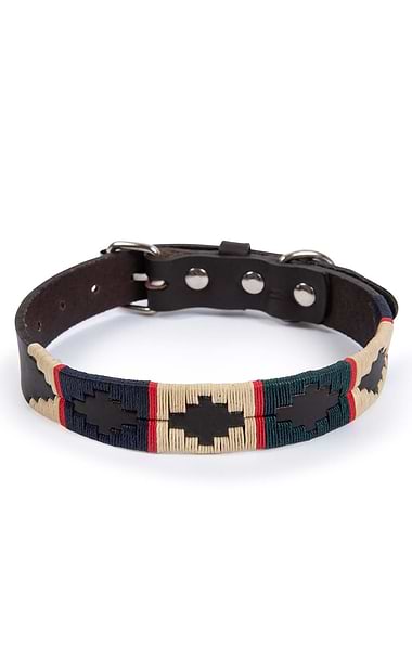 Argentinean Dog Collar