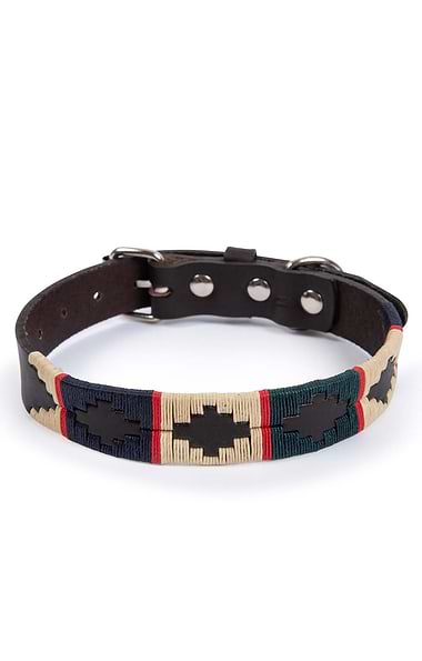 Argentinean Dog Collar