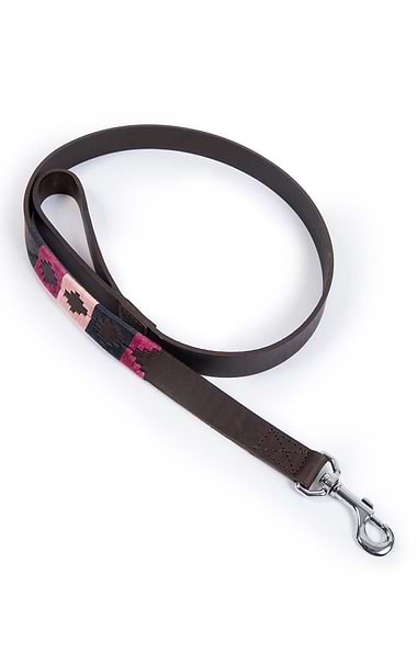 Argentinean Dog Lead