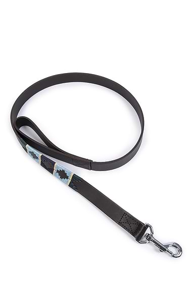 Argentinean Dog Lead