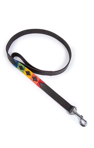 Argentinean Dog Lead