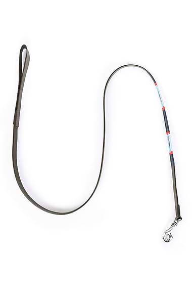 Argentinean Dog Lead